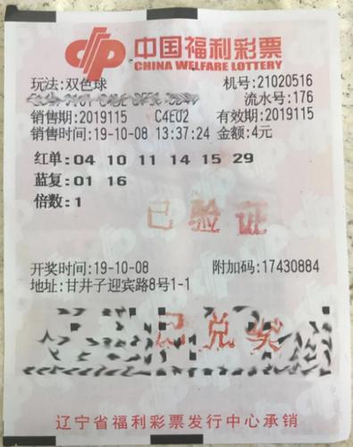 澳门天天彩，正版免费全年资料的探索与解析