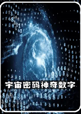 探索数字的奥秘，揭秘开码的世界