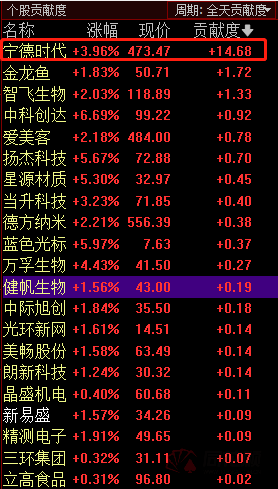 2045，新奥历史开奖记录的回溯与展望