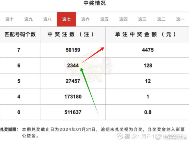 管家婆精选十码三期必中，理性与智慧的投注策略