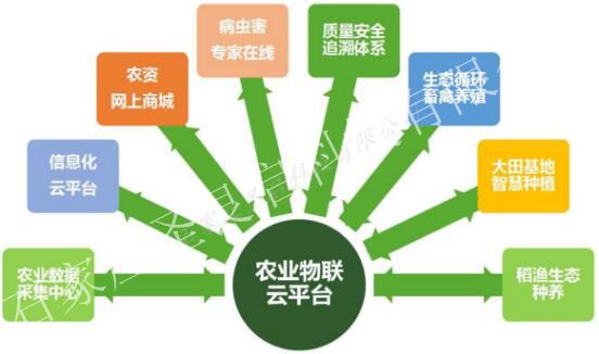 第312页