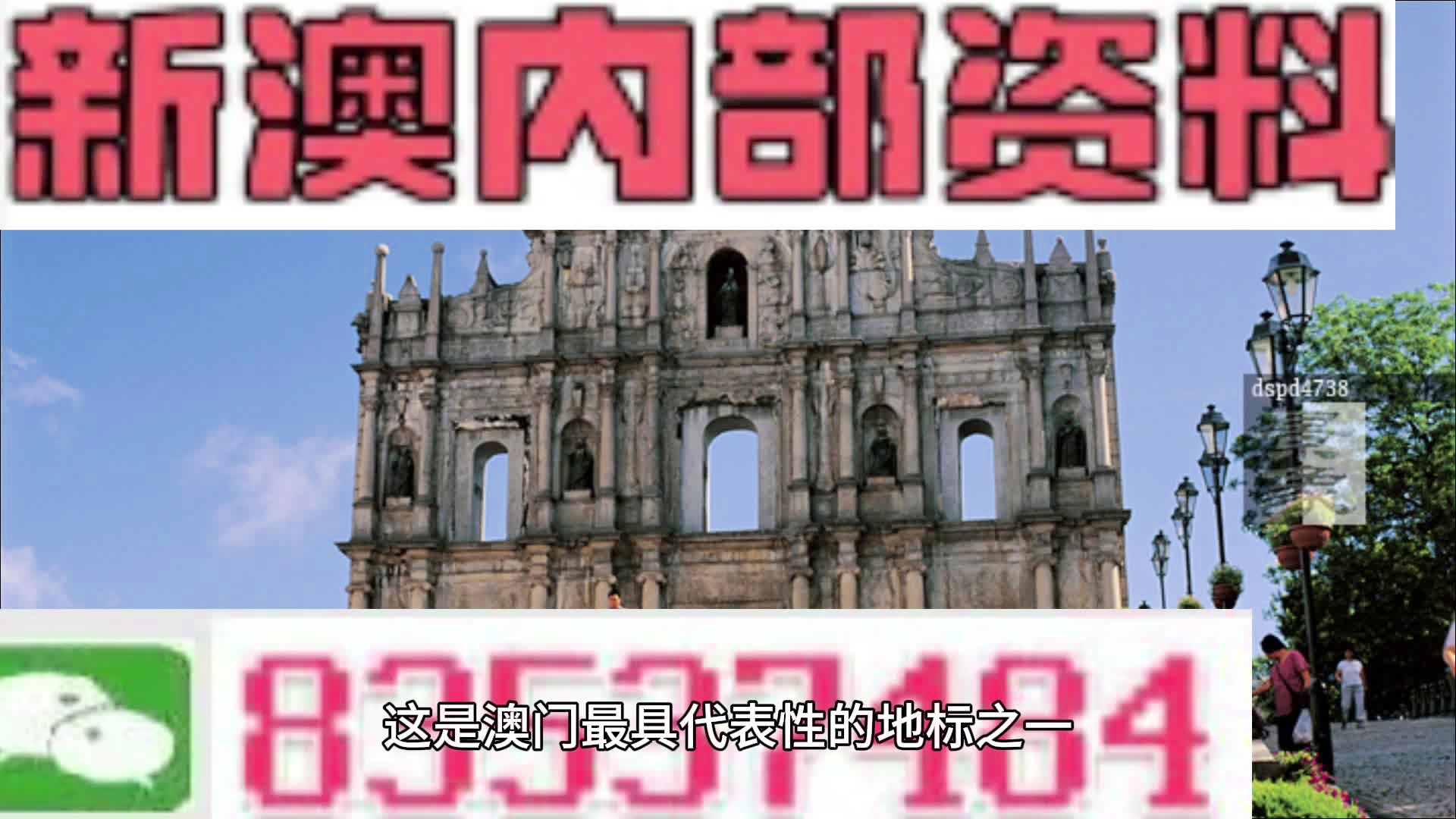 探索新澳，最新最快资料揭秘——第50期深度解析