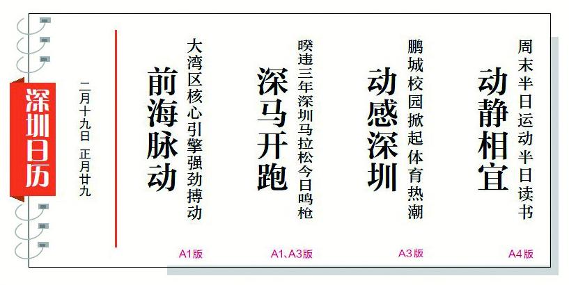 深圳地铁图，城市脉动的轨迹与未来展望