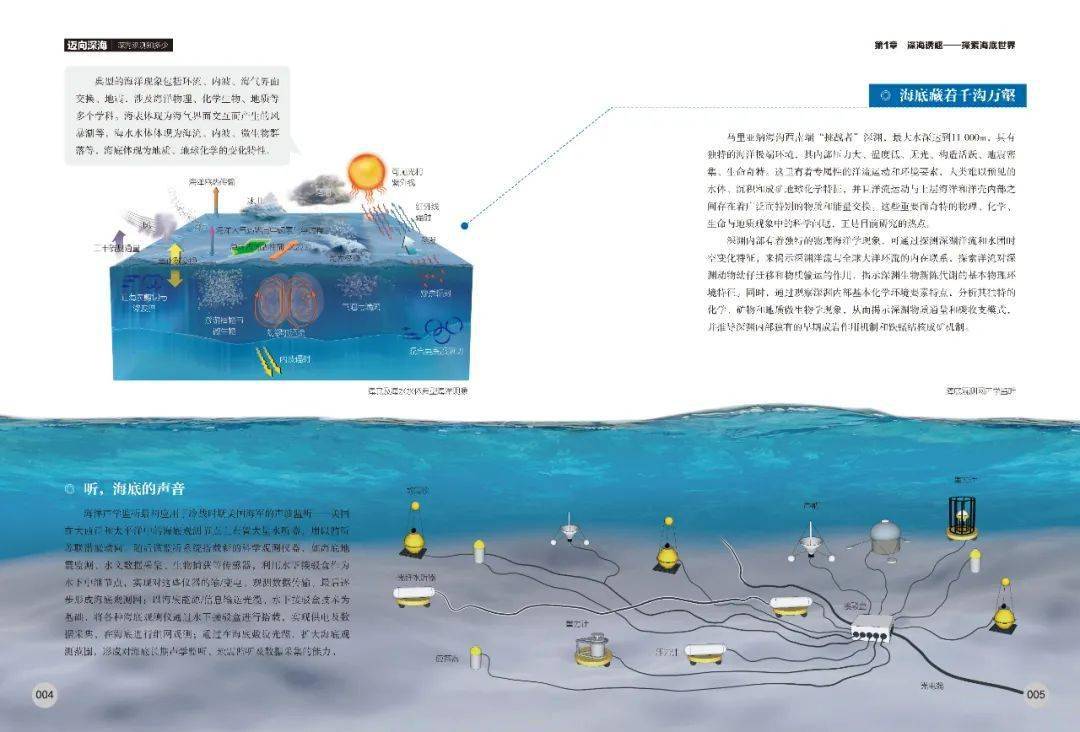 诸海滨，探索海洋深处的智慧与勇气