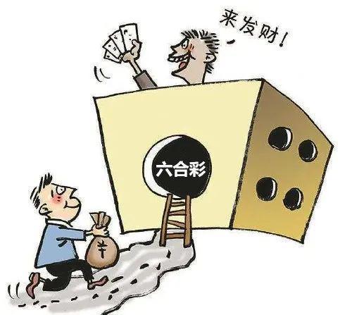 揭秘今日香港港六开奖结果，幸运数字的奥秘与期待