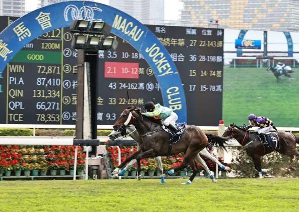 香港2019特马开奖的背后与影响