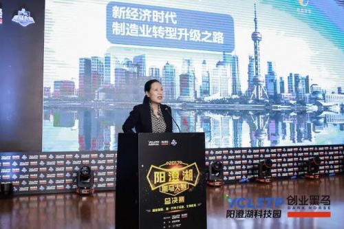 2036年香港特马开奖结果直播，科技与传统的完美融合