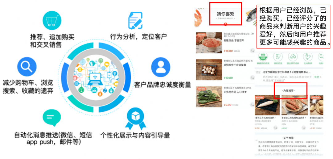 2036年，未来之管家婆精准一肖的迷思与现实考量——理性分析预测趋势，拒绝盲目迷信数字游戏。