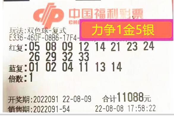 2048年新澳门今晚开奖结果查询，理性看待彩票与娱乐的界限
