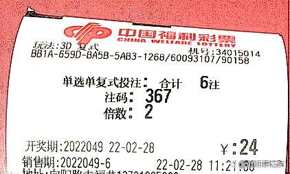 2048年新澳开奖结果查询表，揭秘未来彩票的数字游戏