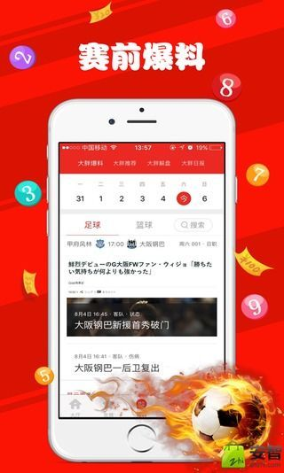 铁算结果，开奖揭秘，4876与不像的较量