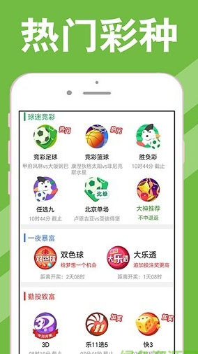 2043年，新澳门开奖结果揭秘之夜
