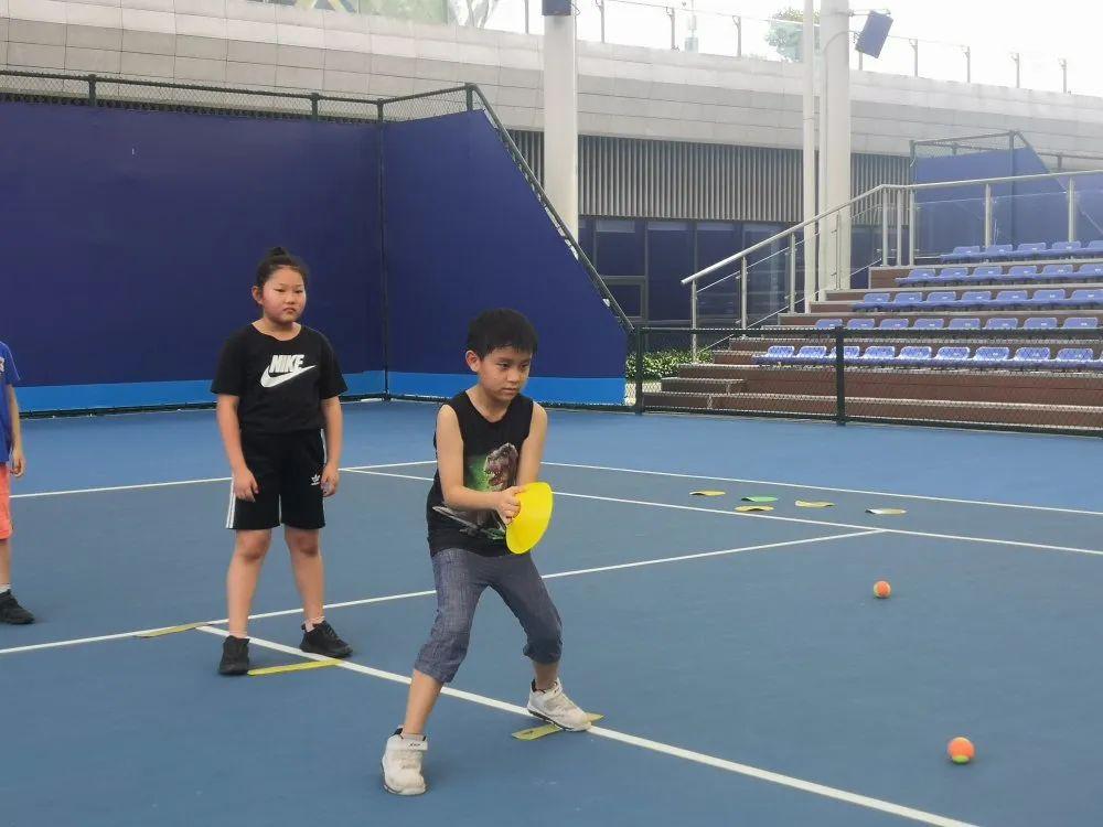2019香港马会资料大全，免费资源与精彩赛事概览