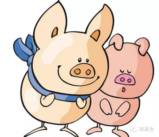 2019年香港开奖结果，回顾与反思