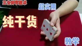 今日特马，揭秘背后的概率与惊喜
