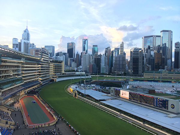 2046澳门天天开好彩大全，揭秘香港彩票文化与投注策略