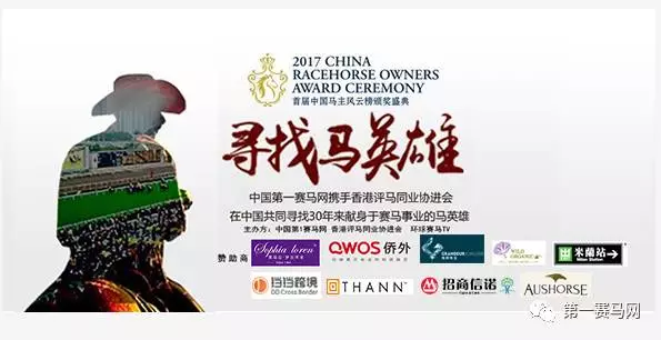 2019年香港马会资料大全，赛场风云与精彩瞬间