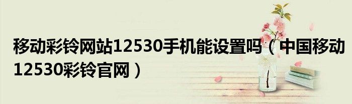 探索12530，中国电信的移动生活门户