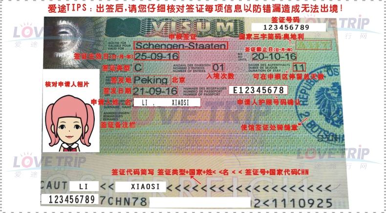 探索新澳好彩，免费资料查询的智慧之旅