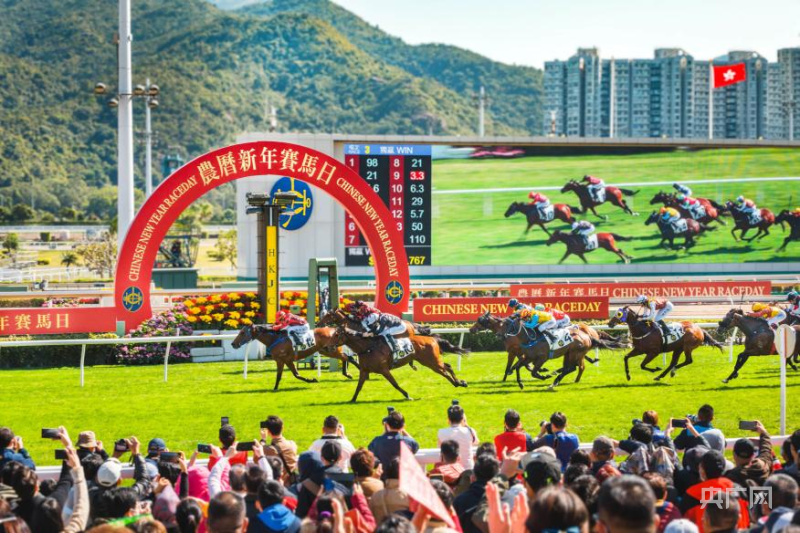 探索2019年香港马会正版资料大全，赛马的智慧与激情