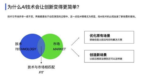 探索网络论坛新天地，神鹰权威论的深度剖析