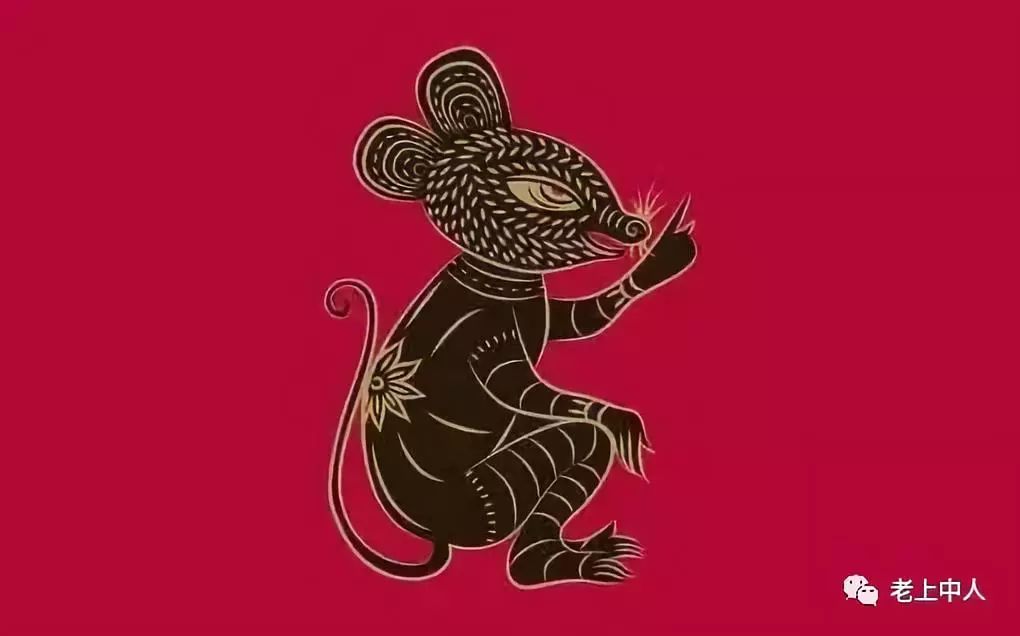宽备窄用，生肖中的智者——鼠