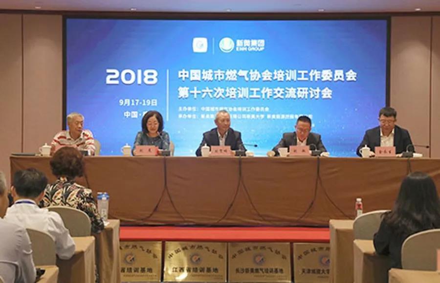 探索新奥天天开，内部资料揭秘与价值解析