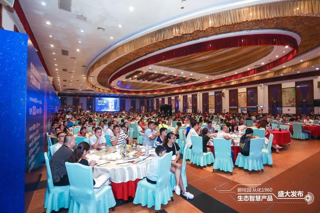 3D天天彩图，探索未来彩票的视觉盛宴
