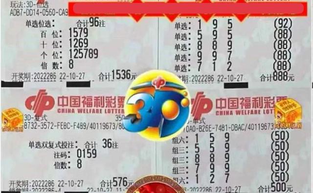 2019年彩票开奖结果，幸运与希望的年度回顾