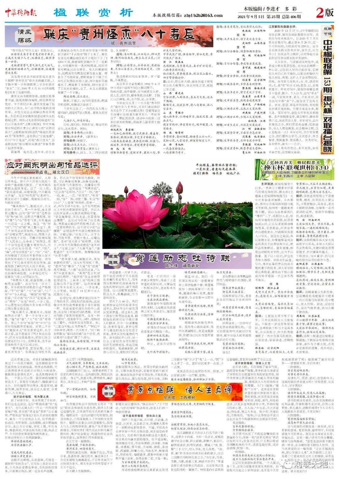 3D天天彩报纸，探索数字与幸运的奇妙世界