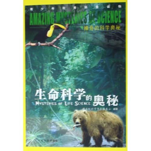 探索数字世界的奇妙，4957、四不像与081的神秘交织