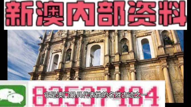 澳门2046精准一肖资料，揭秘背后的真相与警示