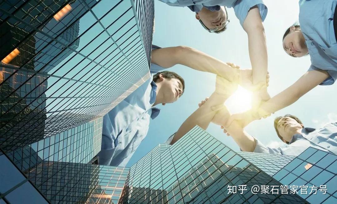 澳门四不像图正版资料大全，揭秘与下载指南