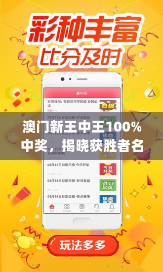 2043年新澳门王中王的神秘面纱，揭秘与展望