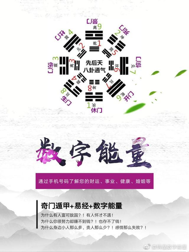 探索数字奥秘，二肖与码的长期免费公开之旅