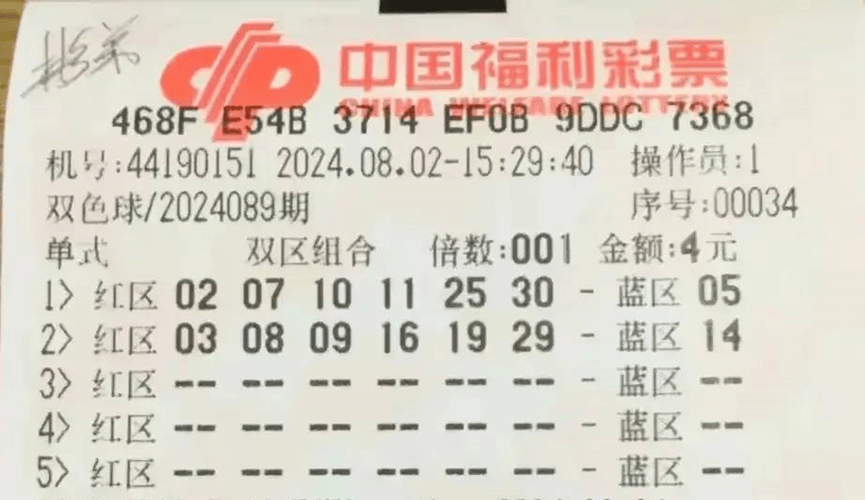2048年新奥门王中王的神秘面纱，探索未来彩票的奥秘