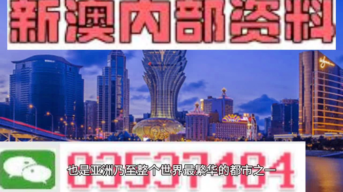 2046年新澳门王中王的传奇与展望