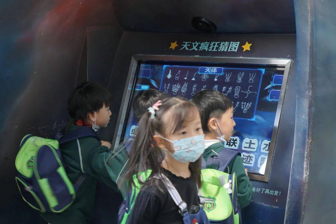 二肖与两码的奥秘—长期免费公开探索之旅
