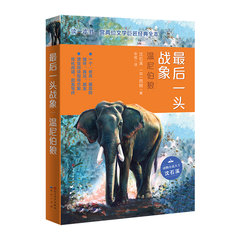 澳门四不像图正版资料大全，揭秘与下载指南