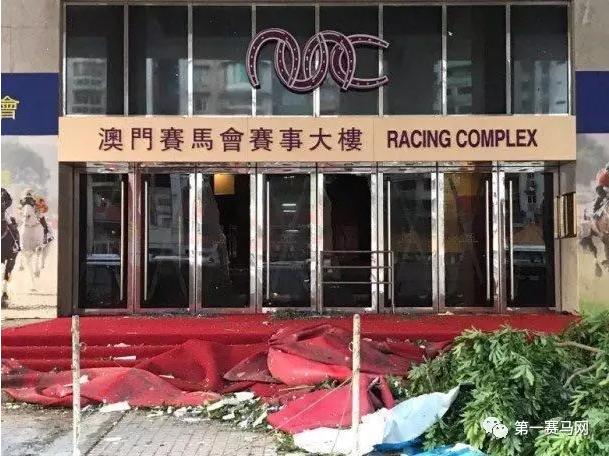 2018年澳门马会传真资料全库，深度解析与未来展望