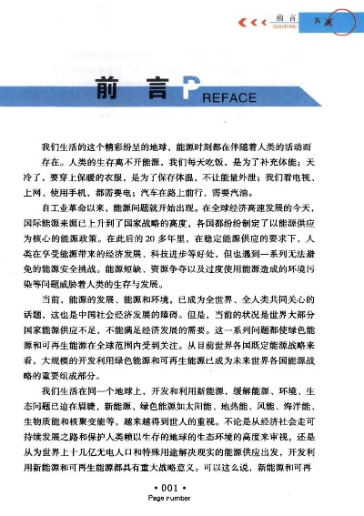 引言部分（约205字）