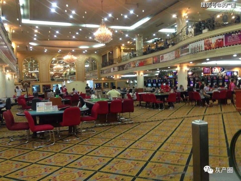 2046年新澳历史开奖记录，香港彩票的数字化与透明化探索