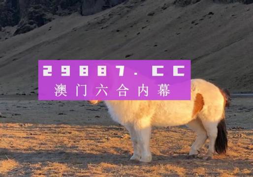 澳门彩，揭秘49选6的奇妙世界
