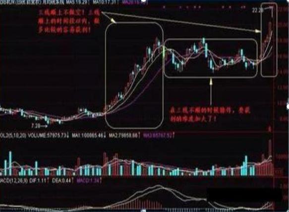 精准预测，四肖期中准的奥秘与策略