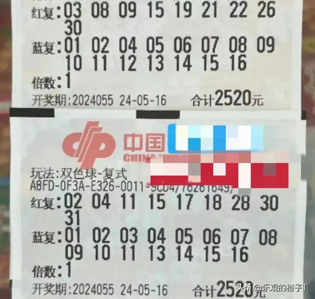 澳门王中王的神秘面纱，揭秘免费公开的精准资料大集合！一场理性与娱乐并存的探索之旅