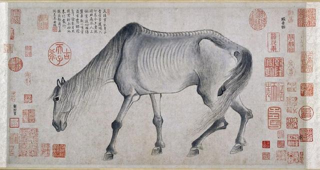 精准特马资料，揭秘预测的科学与艺术
