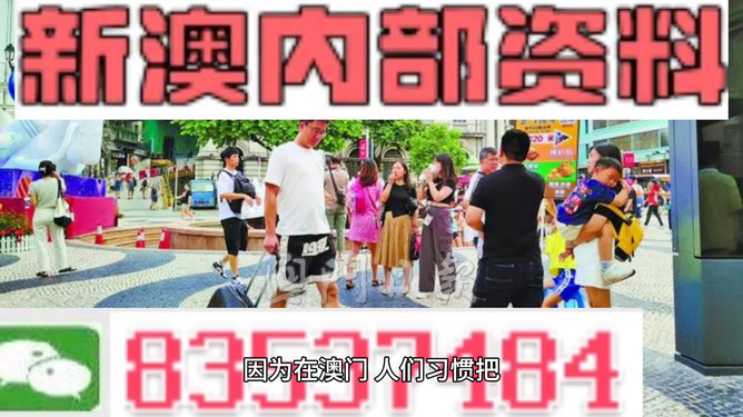204澳门正版精准资料，揭秘背后的真相与风险警示