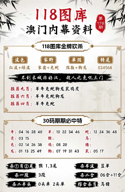 2048年澳门今晚特马揭秘，数字背后的奥秘与期待