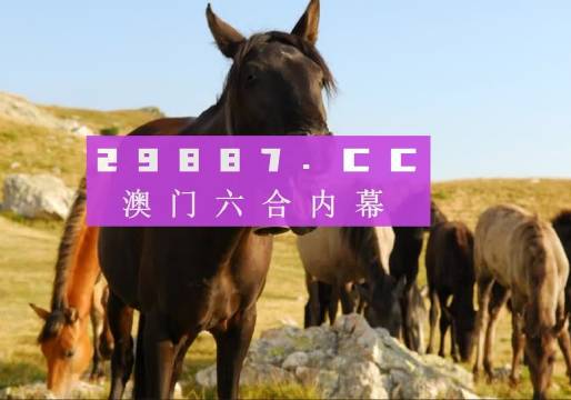 澳门49图库免费资料下载