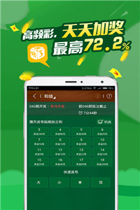 揭秘香港今期开奖号码，一场数字与运气的奇妙碰撞